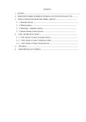 Vykdomos veiklos strategija:UAB "Skonis ir kvapas" 2 puslapis