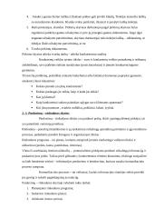 Vykdomos veiklos strategija:UAB "Skonis ir kvapas" 11 puslapis