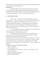 Vykdomos veiklos strategija:UAB "Skonis ir kvapas" 15 puslapis