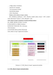 Vykdomos veiklos strategija:UAB "Skonis ir kvapas" 16 puslapis