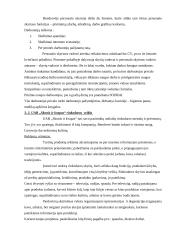 Vykdomos veiklos strategija:UAB "Skonis ir kvapas" 17 puslapis