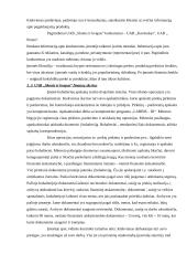 Vykdomos veiklos strategija:UAB "Skonis ir kvapas" 18 puslapis