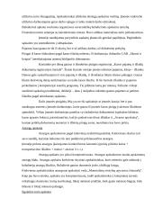 Vykdomos veiklos strategija:UAB "Skonis ir kvapas" 19 puslapis