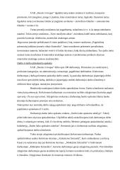 Vykdomos veiklos strategija:UAB "Skonis ir kvapas" 20 puslapis