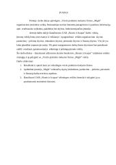 Vykdomos veiklos strategija:UAB "Skonis ir kvapas" 3 puslapis