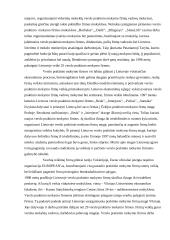 Vykdomos veiklos strategija:UAB "Skonis ir kvapas" 5 puslapis