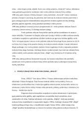 Vykdomos veiklos strategija:UAB "Skonis ir kvapas" 6 puslapis