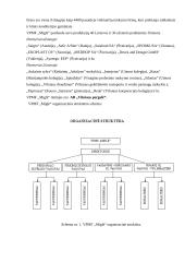 Vykdomos veiklos strategija:UAB "Skonis ir kvapas" 7 puslapis