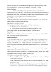 Vykdomos veiklos strategija:UAB "Skonis ir kvapas" 10 puslapis