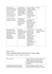 Į kokius  egzistencinius klausimus ieško atsakymo XX  a. vidurio  žmogus?  2 puslapis