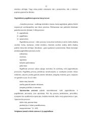 Vyriškų kostiumų siuvimo verslas 12 puslapis