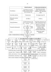 Vyriškų kostiumų siuvimo verslas 14 puslapis