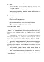 Vyriškų kostiumų siuvimo verslas 5 puslapis