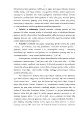 Vyriškų kostiumų siuvimo verslas 7 puslapis