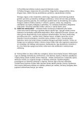 Virusai ir bakterijos, jų nauda bei žala 4 puslapis