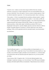 Virusai ir bakterijos, jų nauda bei žala 5 puslapis