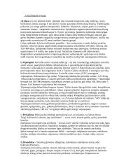 Virusai ir bakterijos, jų nauda bei žala 8 puslapis