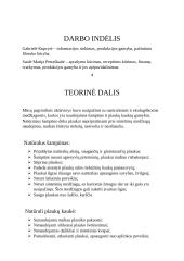 Natūralios higienos priemonės 4 puslapis