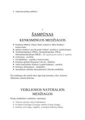 Natūralios higienos priemonės 5 puslapis