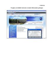 Visagino savivaldybės interneto svetainės įvertinimas 10 puslapis