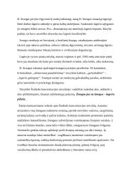 Balys Sruoga. Konspektas 4 puslapis