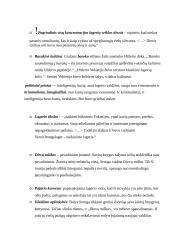 Balys Sruoga. Konspektas 5 puslapis