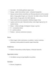 Balys Sruoga. Konspektas 6 puslapis