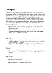 Jonas Biliūnas. Konspektas 3 puslapis