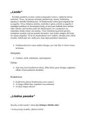 Jonas Biliūnas. Konspektas 5 puslapis