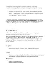Jonas Biliūnas. Konspektas 6 puslapis