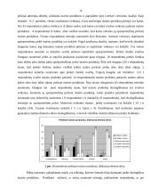 Visuomenės nuomonė apie ekologiškus maisto produktus 15 puslapis