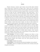 Visuomenės nuomonė apie ekologiškus maisto produktus 4 puslapis