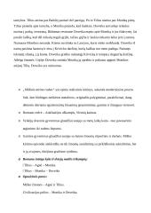 Marius Katiliškis. Konspektas 5 puslapis