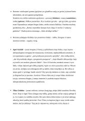 Marius Katiliškis. Konspektas 6 puslapis