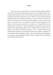 Intelektas. Rašto darbas 2 puslapis