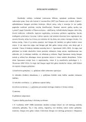 Intelektas. Rašto darbas 3 puslapis