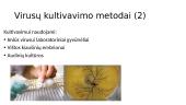 Virusų kultivavimo metodai. Ląstelių (audinių) kultūros. Virusų indikavimo ir identifikavimo būdai 3 puslapis