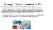 Virusų kultivavimo metodai. Ląstelių (audinių) kultūros. Virusų indikavimo ir identifikavimo būdai 4 puslapis
