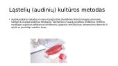Virusų kultivavimo metodai. Ląstelių (audinių) kultūros. Virusų indikavimo ir identifikavimo būdai 5 puslapis
