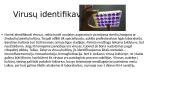 Virusų kultivavimo metodai. Ląstelių (audinių) kultūros. Virusų indikavimo ir identifikavimo būdai 10 puslapis