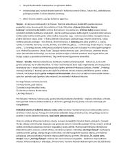 Konspektai apie autorius ir kūrinius 20 puslapis