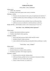 Žalingi įpročiai ir jų prevencija 3 puslapis