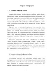 Žargonas ir žargonybės jaunimo kalboje 3 puslapis