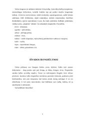 Žargonas ir žargonybės jaunimo kalboje 5 puslapis