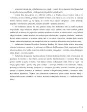 Žargoninė leksika 6 puslapis