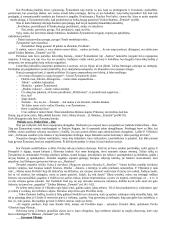 Žemaitė – kaip asmenybė 2 puslapis