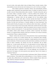 Mitinis pasaulio suvokimas 5 puslapis