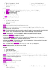 Konspektas: šaltasis karas 2 puslapis