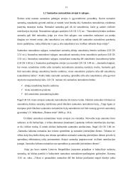 Santuokos nutraukimo sąlygos 9 puslapis