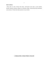 Santuokos nutraukimo sąlygos 5 puslapis